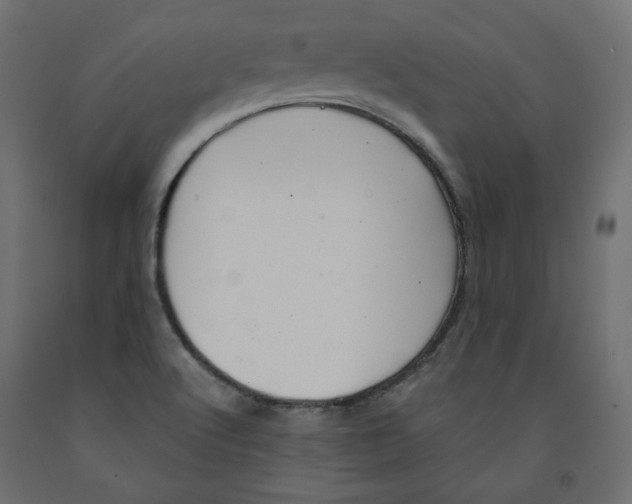 X0000091961512200710041017