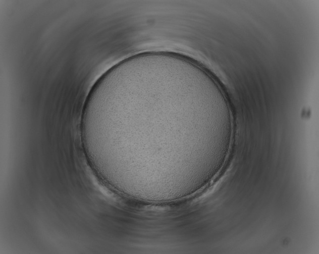 X0000091961513200710041017