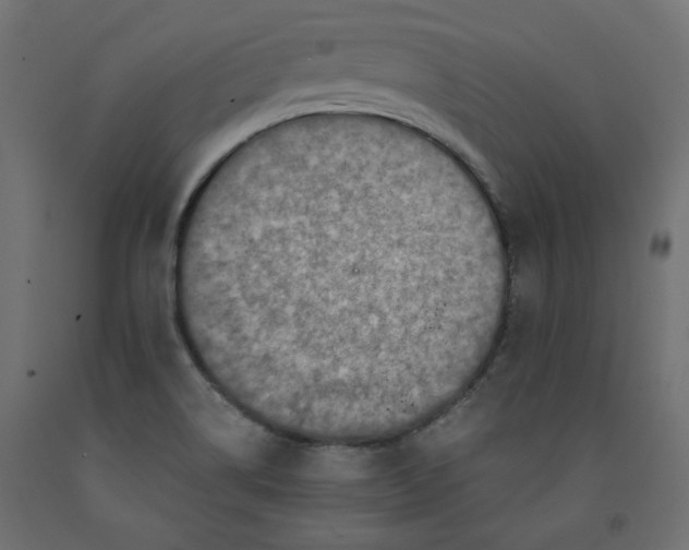 X0000091961514200710041017