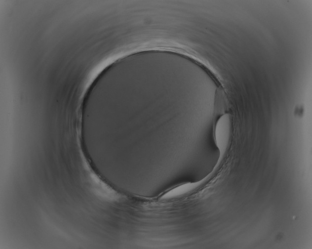 X0000091961515200710041017