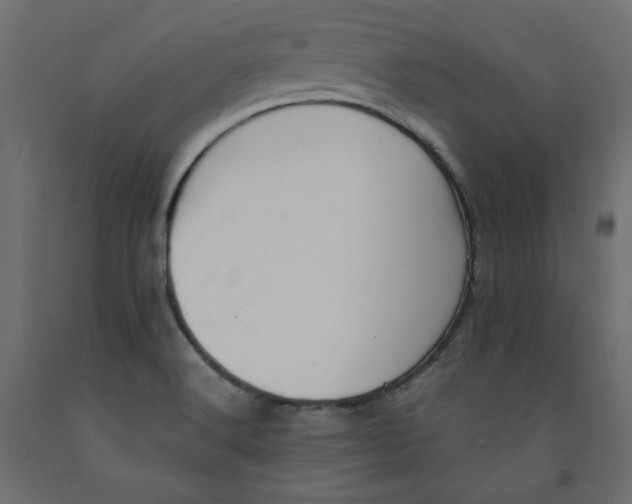 X0000091961516200710041018