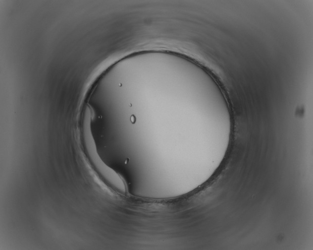 X0000091961517200710041018