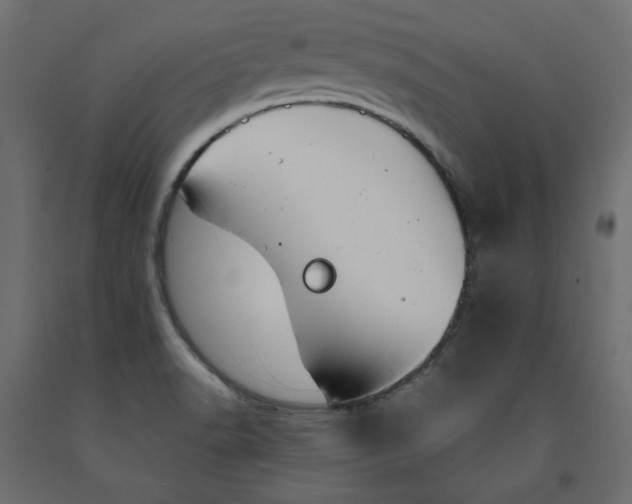X0000091961518200710041018