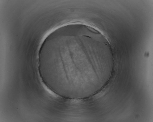 X0000091961519200710041018