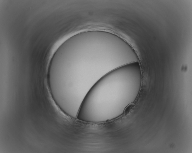 X0000091961520200710041018