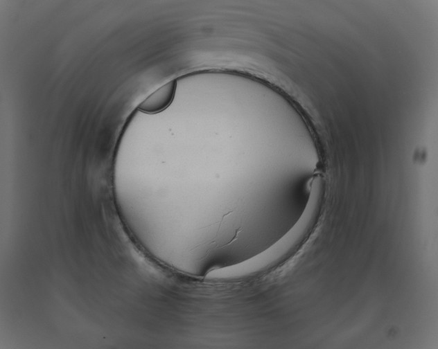 X0000091961521200710041018