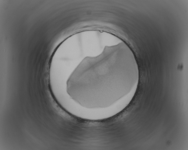 X0000091961522200710041018