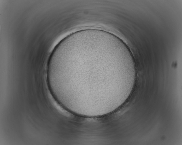 X0000091961523200710041018