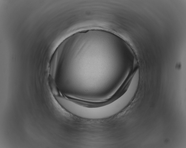 X0000091961524200710041018