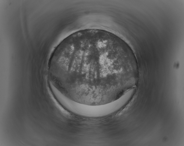 X0000091961525200710041018