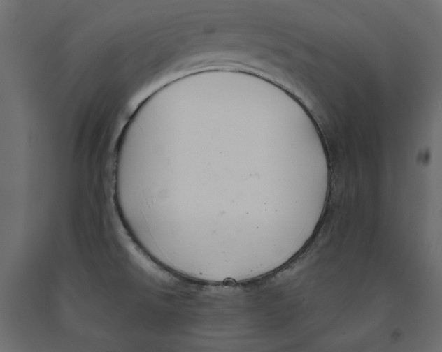X0000091961526200710041018