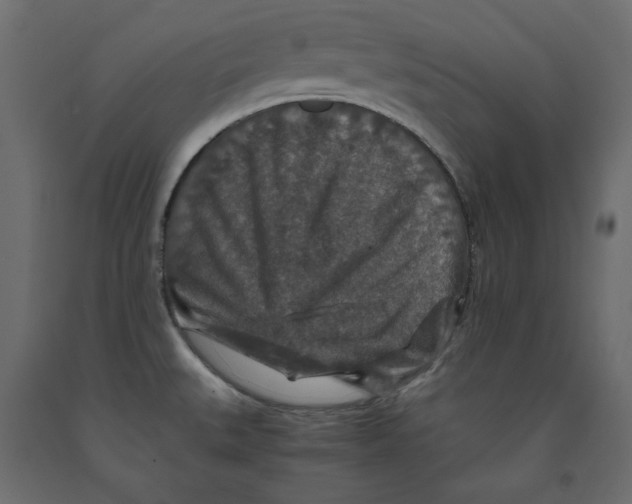 X0000091961527200710041018