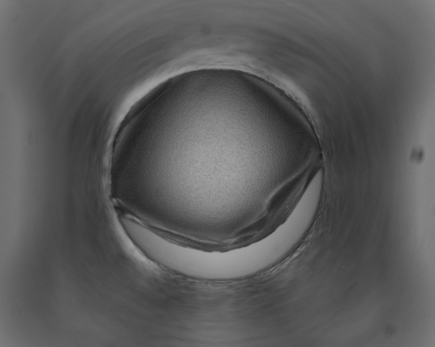 X0000091961528200710041018