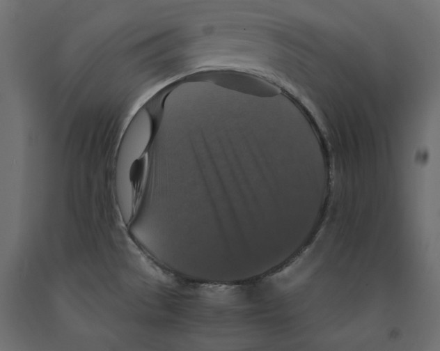 X0000091961529200710041018