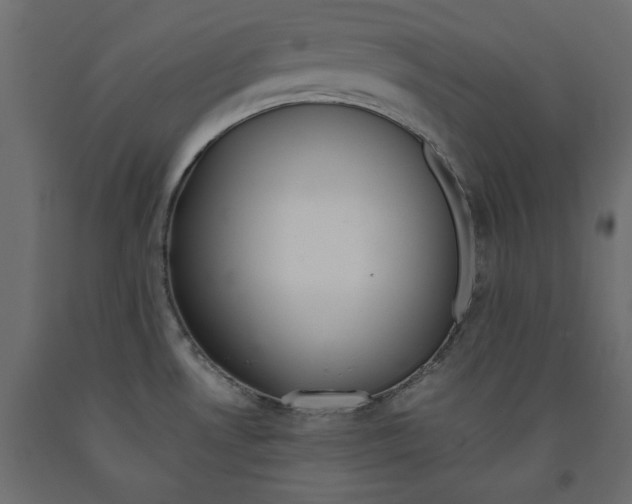 X0000091961530200710041018