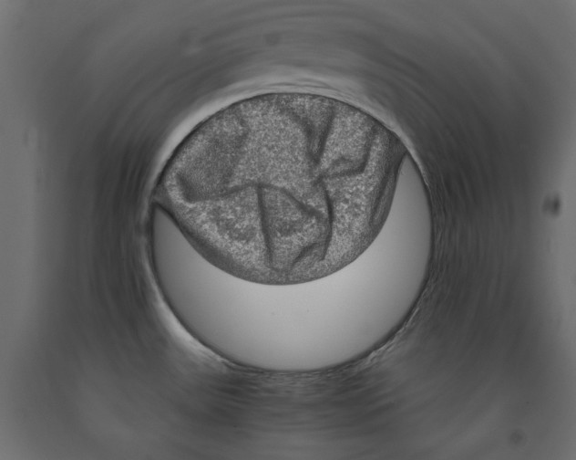 X0000091961531200710041018