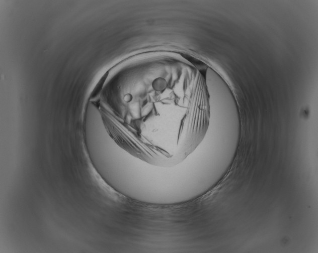 X0000091961532200710041018