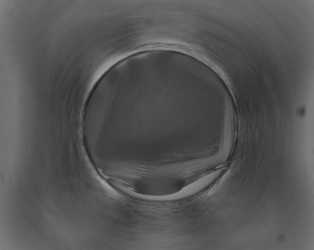 X0000091961533200710041018