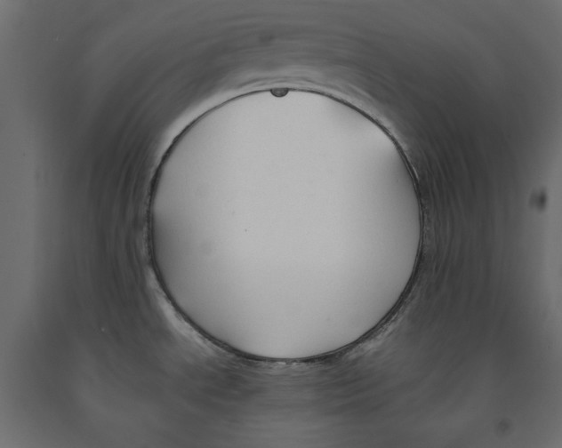 X0000091961534200710041018