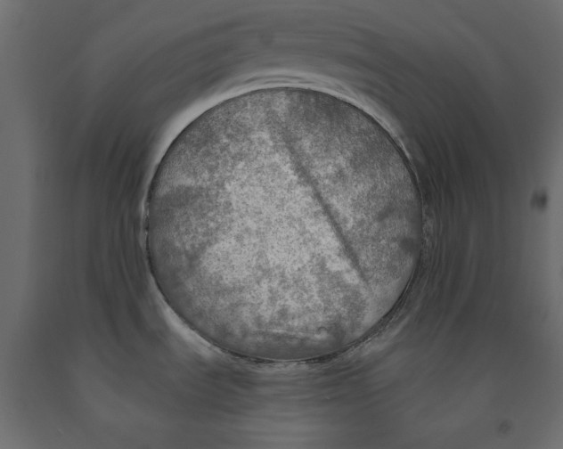 X0000091961535200710041018