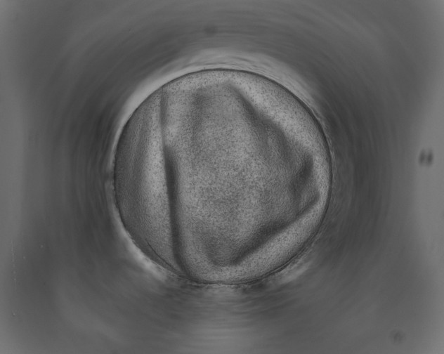 X0000091961536200710041018
