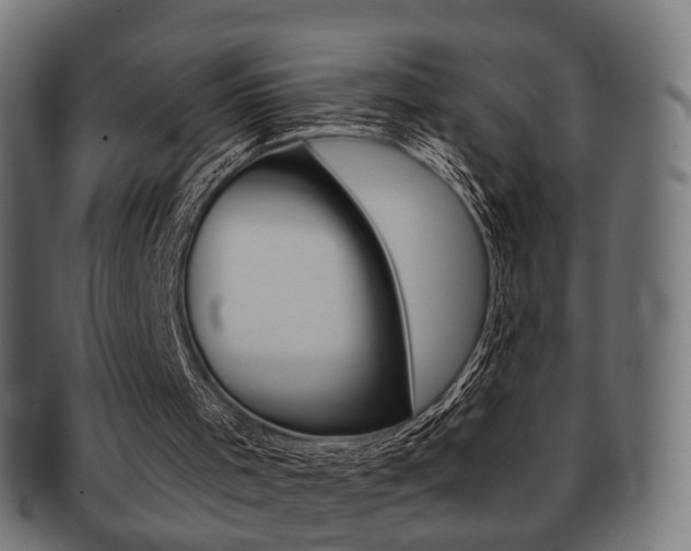 X0000091970001200709061141