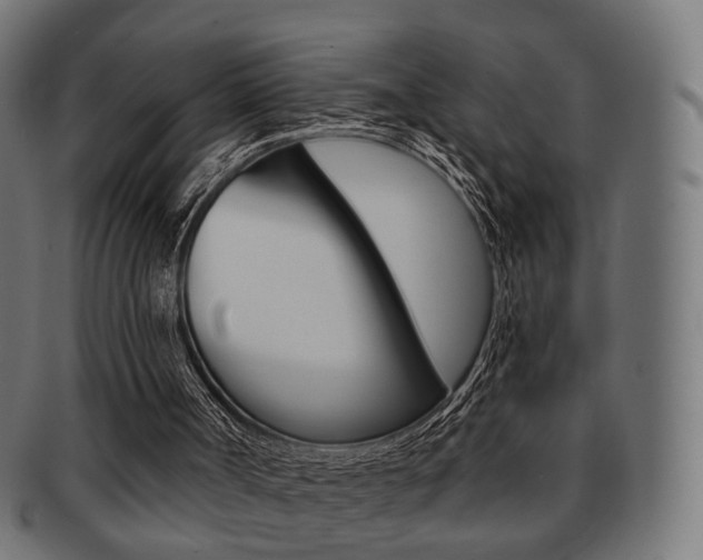 X0000091970002200709061141