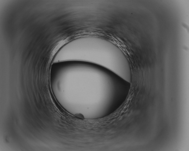 X0000091970003200709061141