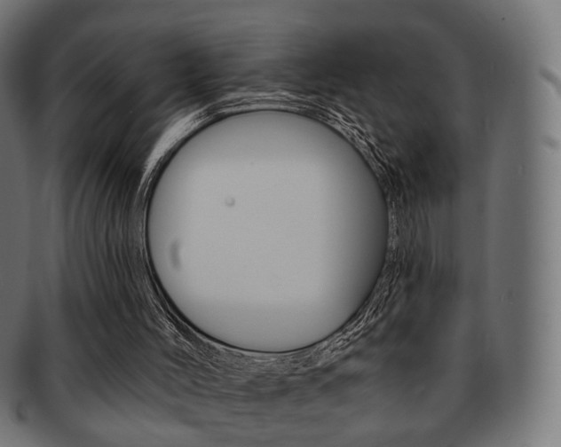X0000091970004200709061141