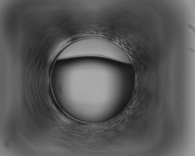 X0000091970005200709061141