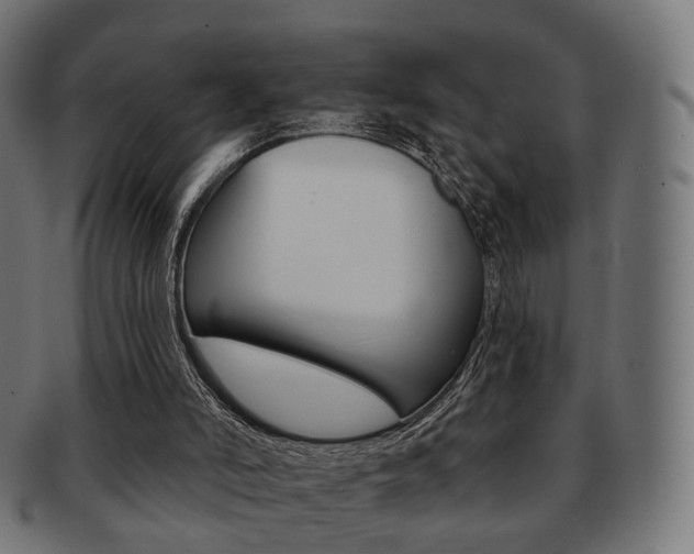 X0000091970006200709061141
