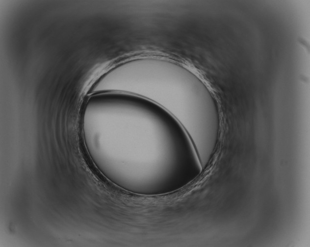 X0000091970007200709061141
