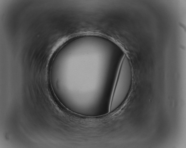 X0000091970008200709061141