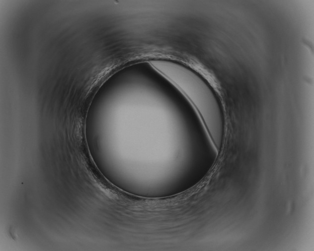 X0000091970009200709061141