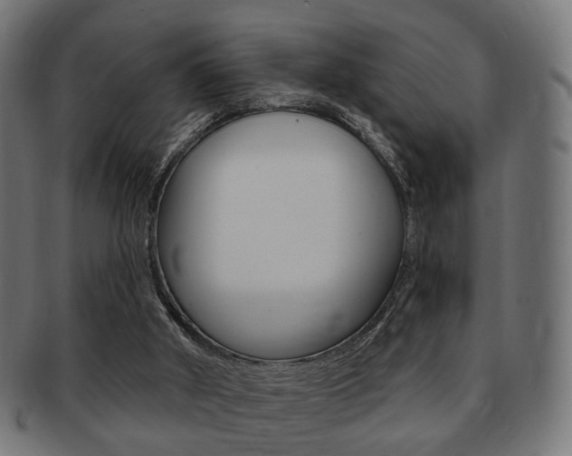 X0000091970010200709061141