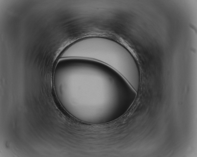 X0000091970011200709061141