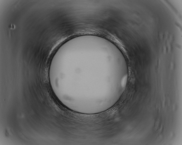 X0000091970012200709061141
