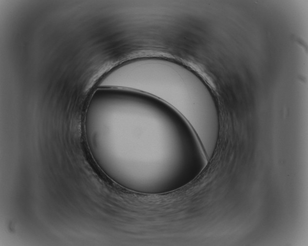 X0000091970015200709061141