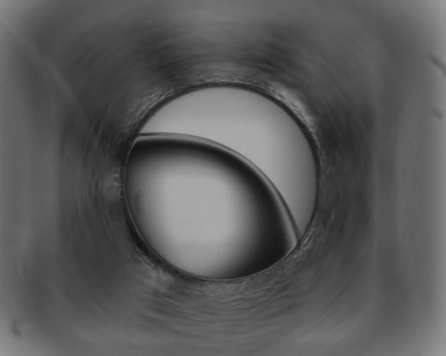 X0000091970017200709061141