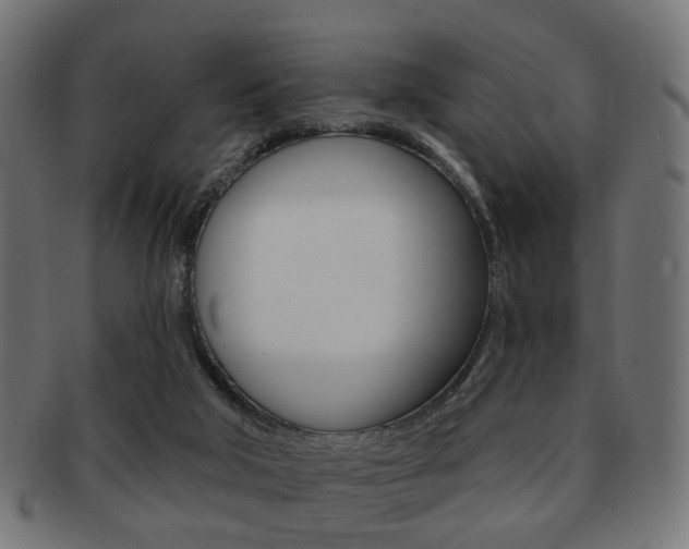 X0000091970018200709061141