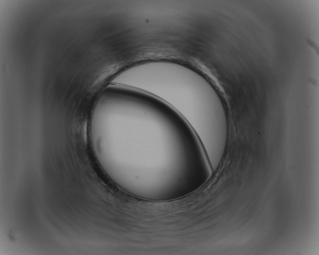 X0000091970019200709061141