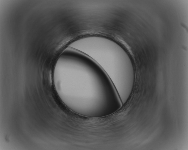 X0000091970020200709061141