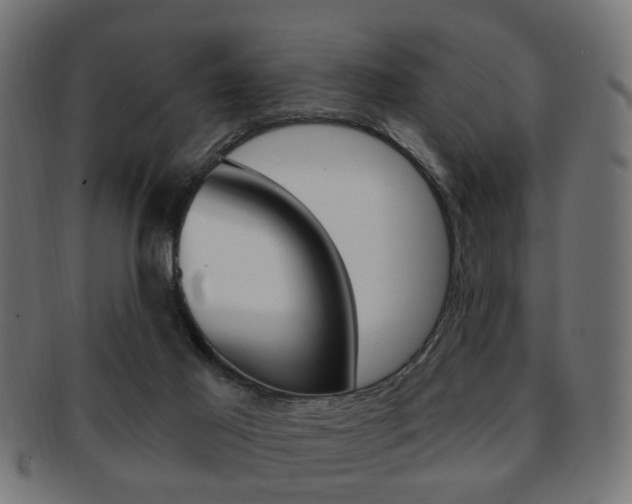 X0000091970021200709061141