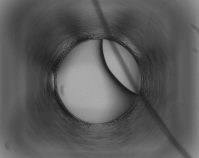 X0000091970022200709061141