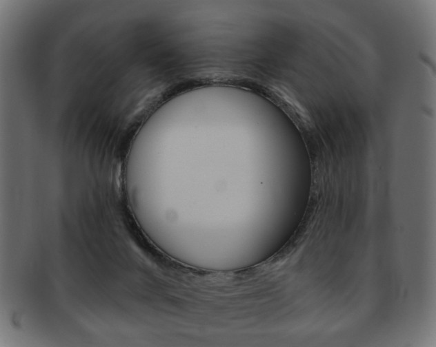 X0000091970024200709061141