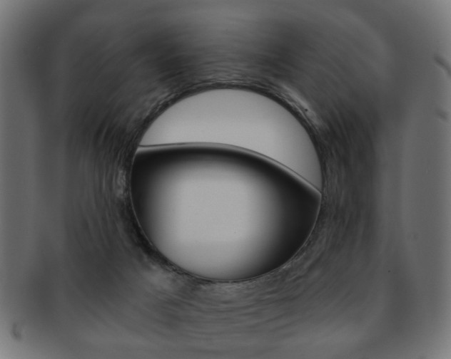 X0000091970025200709061141