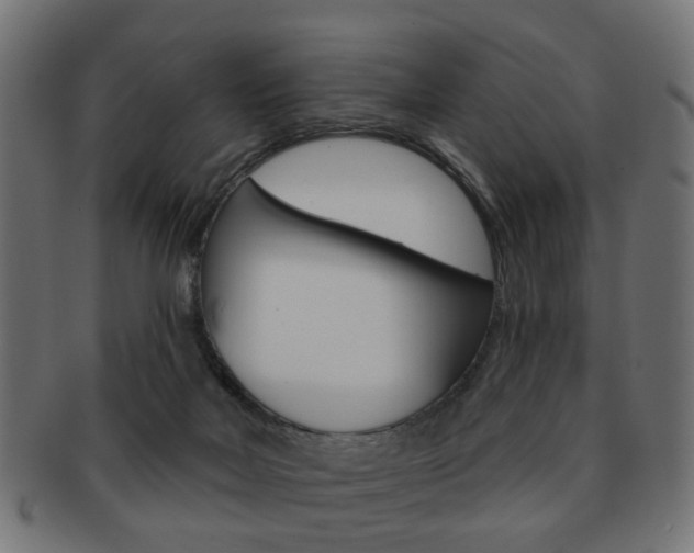 X0000091970026200709061141