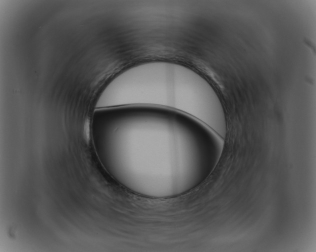 X0000091970027200709061141