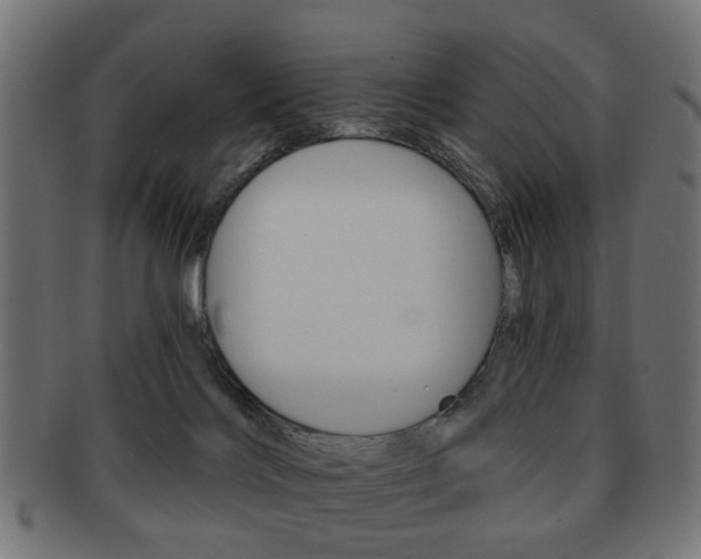 X0000091970028200709061141