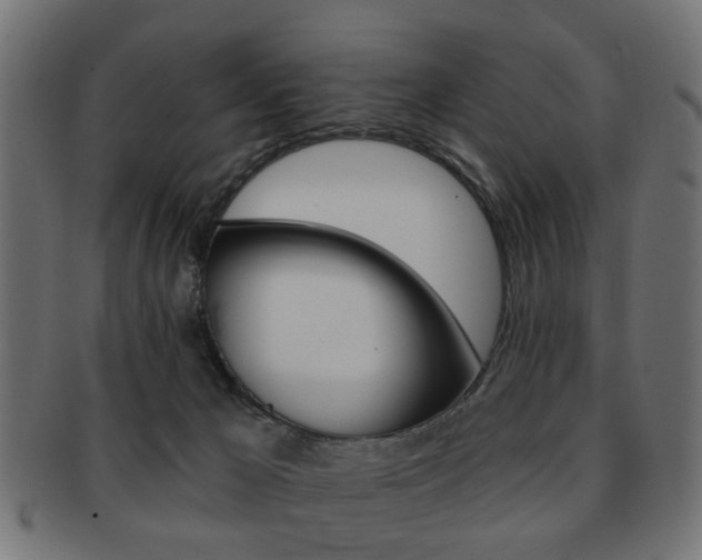X0000091970029200709061141